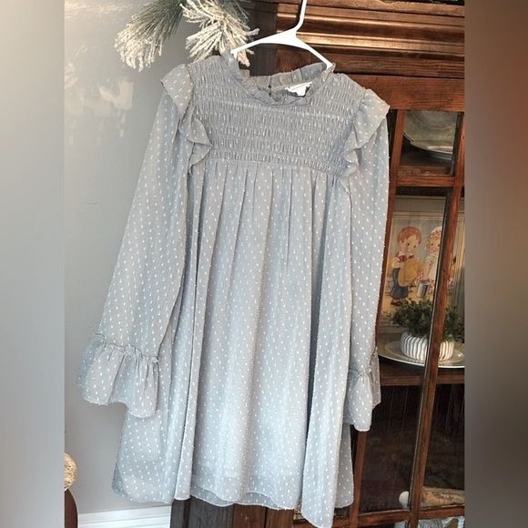 Love Riche Dresses & Skirts - Love Riche Blue Gray Smocked Dress. Sheer Chiffon Long Sleeve Women’s Sz-L. EUC